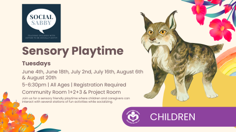 Sensory Playtime. Illustrated image of a wild cat and social sabby logo.