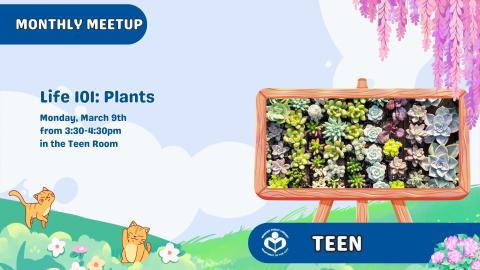 rows of succulents to right of verbiage