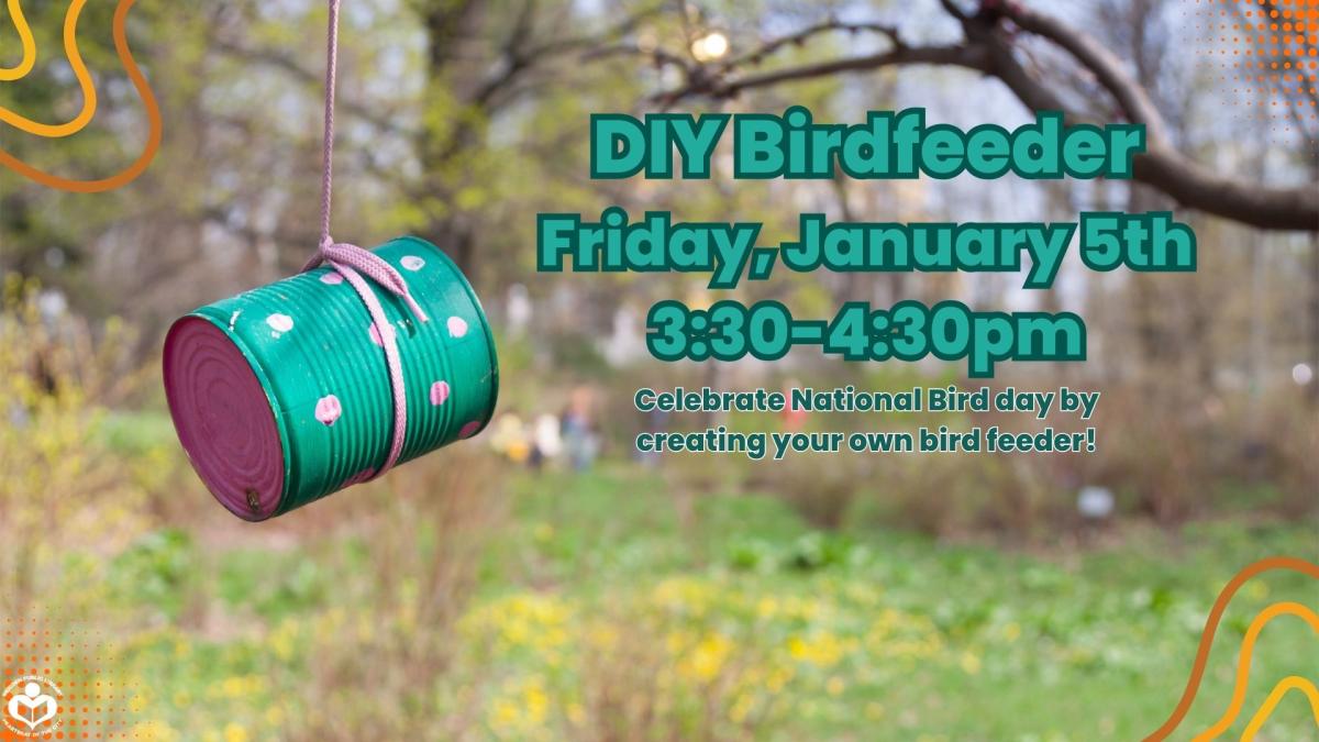 DIY Bird Feeder