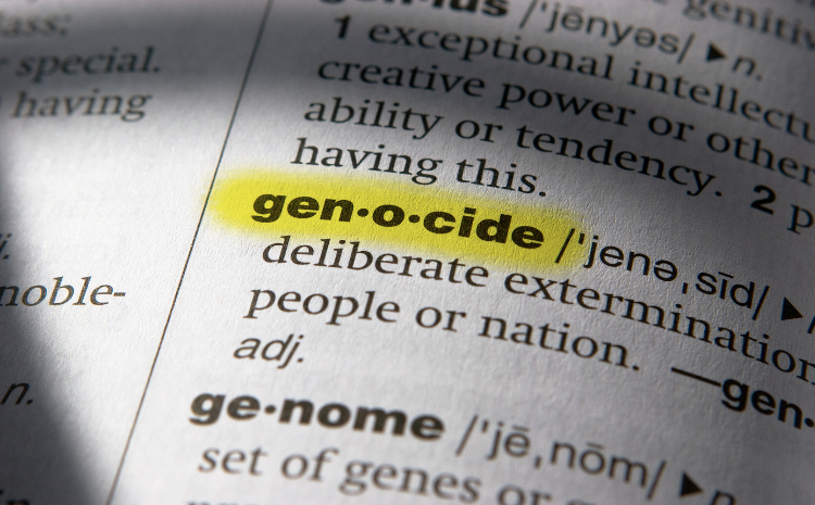 Genocide definition image